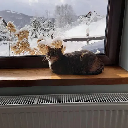 Homestay Bankoszowka Szczawnica